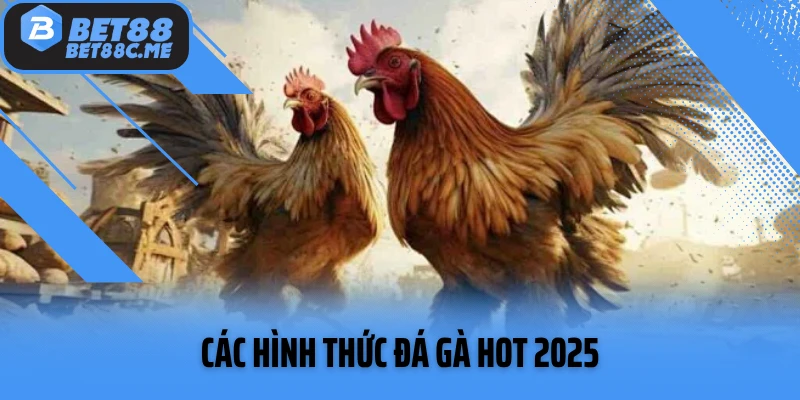 Các hình thức đá gà hot 2025