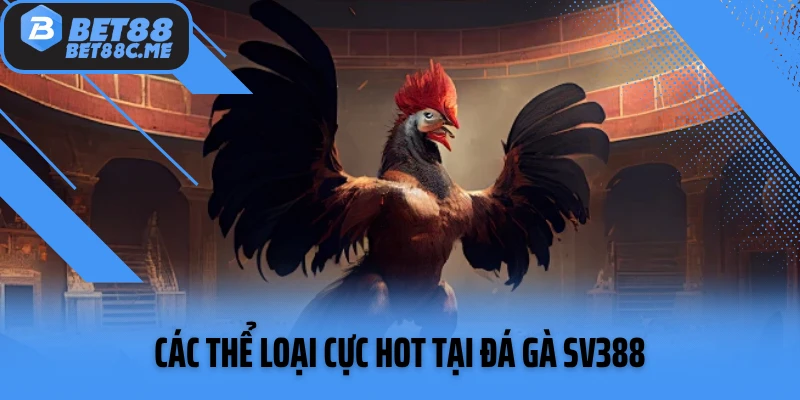 Các thể loại cực hot tại đá gà SV388