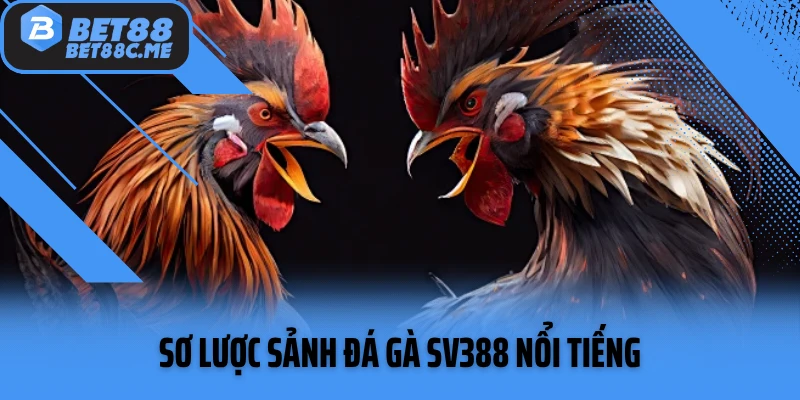 Sơ lược sảnh đá gà SV388 nổi tiếng