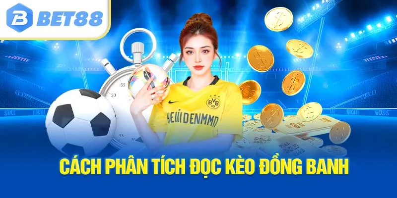 cach-phan-tich-doc-keo-dong-banh_35_11zon